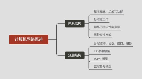 計(jì)算機(jī)網(wǎng)絡(luò)技術(shù)概述